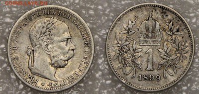 1 крона 1899 Австро-Венгрия до 18.04 - IMG_0434.JPG