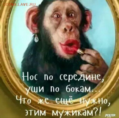юмор - итроглшщ