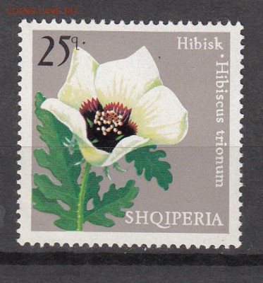 Албания 1975 цветы 1м - 72