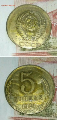 Покрыты лаком. Гурт лысый. - _20180414_185242.JPG