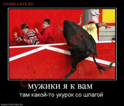 юмор - 659275_muzhiki-ya-k-vam-