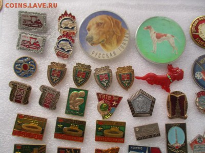 значки, фикс по 20 руб. - IMG_3288.JPG