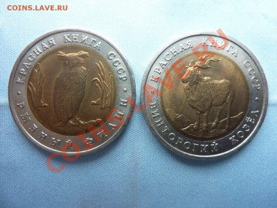КРАСНАЯ КНИГА 1991г. до 22.04.11 в 22-00 - MEMO0001.JPG