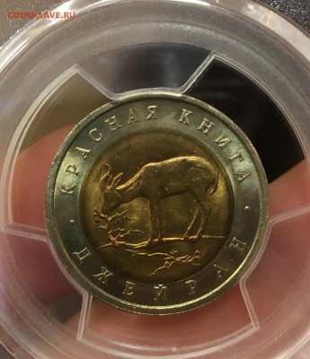 50 рублей 1994 Джейран МС-65 до 19.04.18 в 22.00 - 0FFA9271-9718-40D1-A85D-8604D5656019