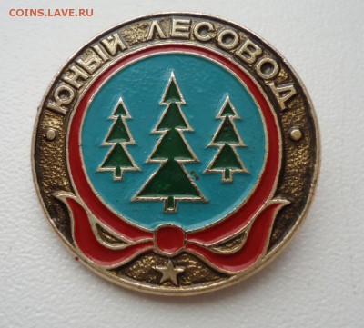 ЮНЫЙ ЛЕСОВОД - DSC04833.JPG