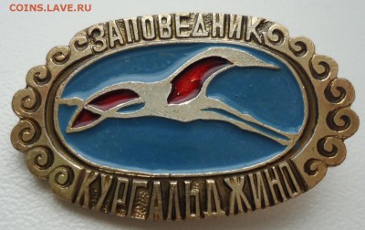 ЗАПОВЕДНИК КУРГАЛЬДЖИНО - DSC04836.JPG