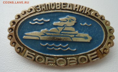 ЗАПОВЕДНИК БОРОВОЕ - DSC04840.JPG