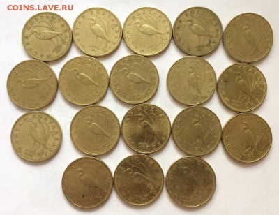 Венгрия 5 Форинтов 1993-2016 18 штук без повторов 19.04.2018 - Hfv4lp1Vlek