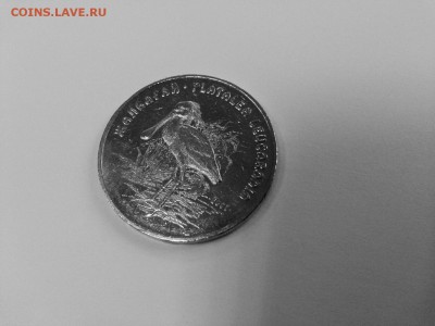 50 тенге. "Колпица" 2007г АУК №2 - Колпица Аверс