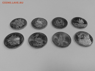 50 тенге. "Ястребиная сова" 2011г - общ
