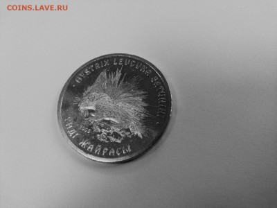 50 тенге. "Дикобраз" 2009г АУК №2 - Дикобраз Аверс