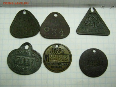 Просьба помочь с определением. - IMG_3208.JPG