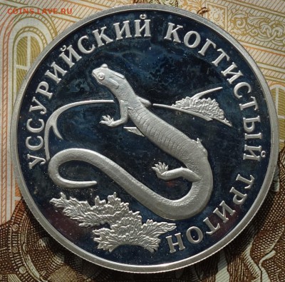 1 руб Уссурийский когтистый тритон 2006г 23.04.18 в 22-00 - DSC04123.JPG
