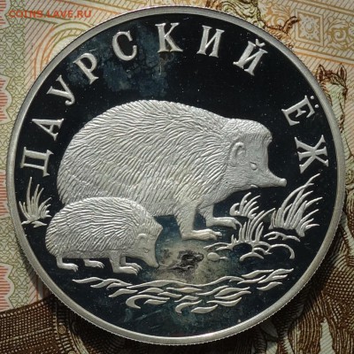 1 руб Даурский еж 1999г 23.04.18 в 22-00 - DSC04126.JPG