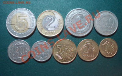 Подборка современной Польши до 22.04.11 в 22.00 МСК - 3