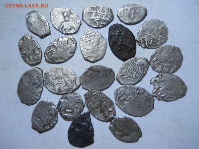 лот чешуи 35штук. до 21.04.2018 в 22-00 по мск. - DSCN2680.JPG