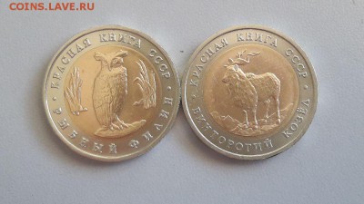 Красная книга 1991г: Филин и Винторогий Козел, до 25.04 - Филин-Козел-1