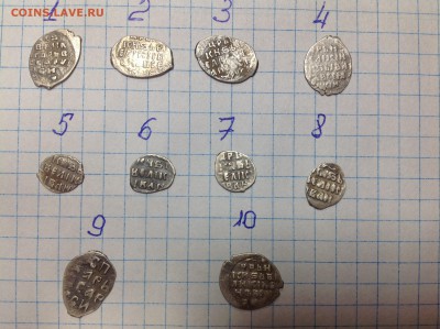Помогите определить чешуйки. Тема пополняемая - IMG_0042.JPG