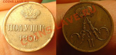 полушка 1856 ЕМ красивая до 22.04.11 22-00 - полушка 1852 113.JPG