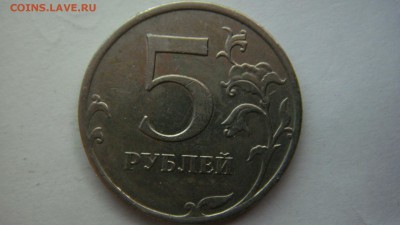 Вопросы по разновиднстям от сахарок - DSC03121.JPG