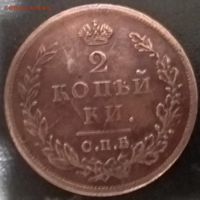 царица полей - WP_20180420_20_53_16_Pro