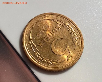 5 копеек 1955 года с блеском до 23.04 - WP_20180415_15_51_05_Pro