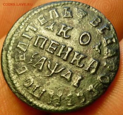Помогите с оценкой копейка 1714 года нд - P1070877.JPG
