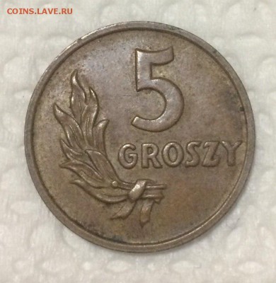 Польша 5 Грошей 1949 22.04.2018 22:00 - Гро
