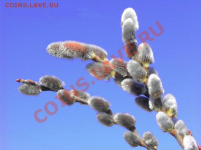 БамБук  :x - 5d5eb2a48af25af82f65ca0d2459eb8a