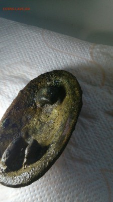 Находки из Лен. обл с последнего копа. - DSC_0154-881x1567.JPG