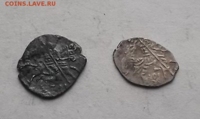 Чешуя на определение и оценку 2 шт. - DSCF3322.JPG