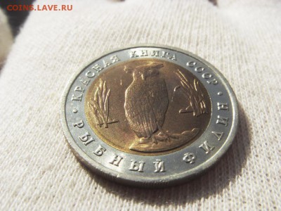 Красная Книга- Филин 1991 до 27.04.18 г. - SDC15731.JPG