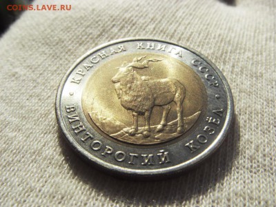Красная Книга- Козел 1991 до 27.04.18 г. - SDC15741.JPG