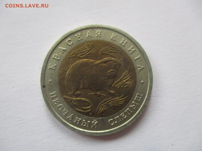 красная книга 1994, слепыш - IMG_3490.JPG