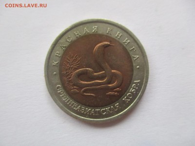 красная книга 1992, кобра - IMG_3503.JPG