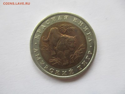 красная книга 1992, тигр - IMG_3505.JPG