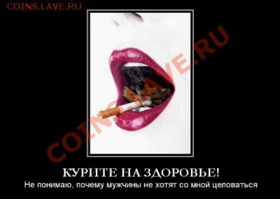 БамБук  :x - 17.04