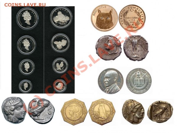 Изображение совы на монетах - S 