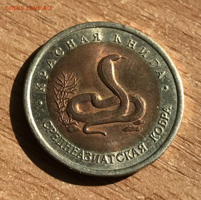 Тигр, Казарка, Кобра. Набор КК 1992 года. до 26.04 - IMG_E0733.JPG