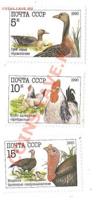 Подборка марок СССР "Домашние птицы", 1990 г - Домашние птицы.JPG