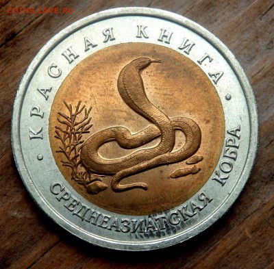 10 рублей 1992 года Кобра до 26.04.2018 22-00 - P4240168.JPG