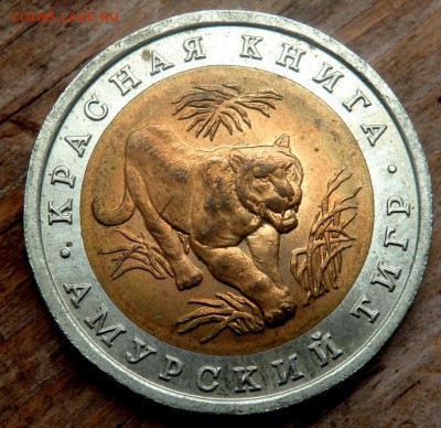 10 рублей 1992 года Амурский тигр до 26.04.2018 22-00 - P4240170.JPG