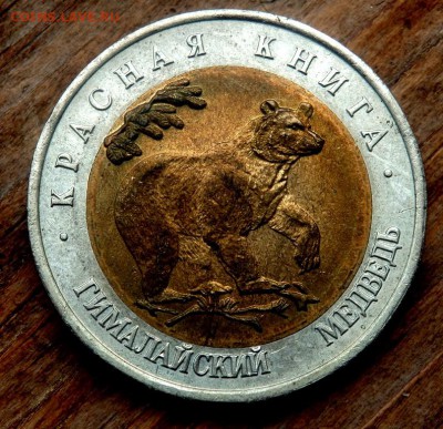 50 рублей 1993 года Гималайский медведь до 26.04.2018 22-00 - P4240173.JPG
