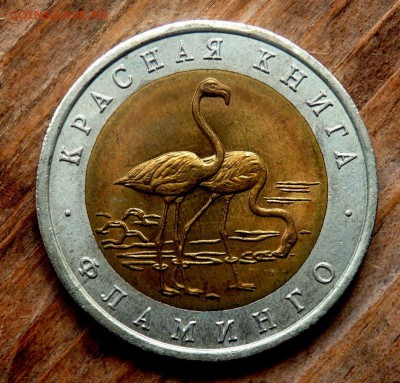 50 рублей 1994 года Фламинго до 26.04.2018 22-00 - P4240185.JPG