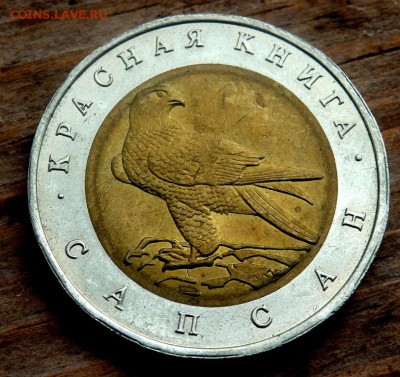 50 рублей 1994 года Сапсан до 26.04.2018 22-00 - P4240191.JPG