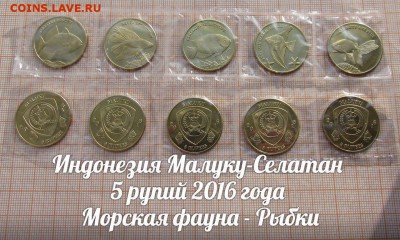 Индонезия Малуку-Селатан 5 рупий 2016 Рыбки. До 27.04. в 22 - ф