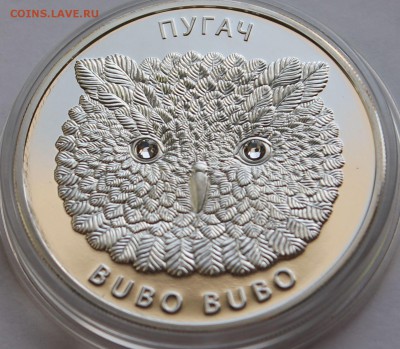 Беларусь 20 рублей  2009. Филин. Серебро,999, вес - 31,1 гр - 4