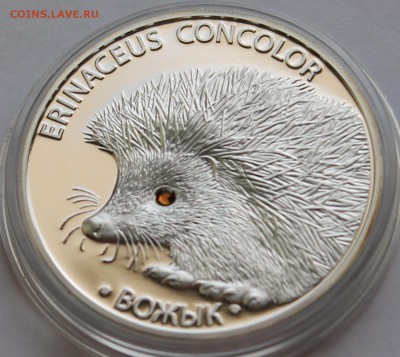 Беларусь 20 рублей  2011. Ёж. Серебро,999, вес - 31,1 гр - 4