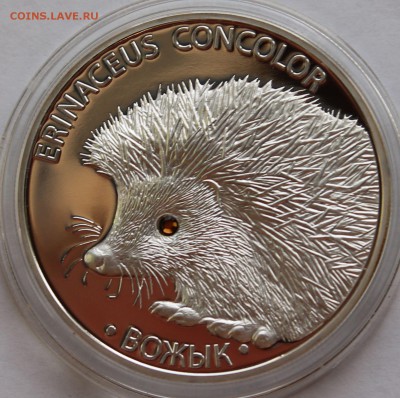 Беларусь 20 рублей  2011. Ёж. Серебро,999, вес - 31,1 гр - 3