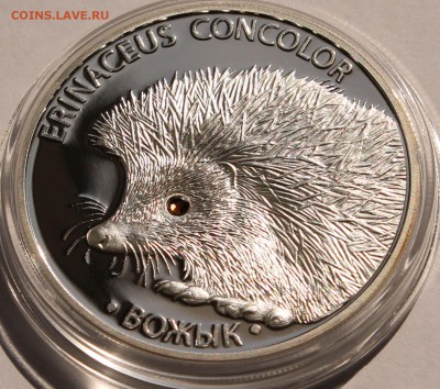 Беларусь 20 рублей  2011. Ёж. Серебро,999, вес - 31,1 гр - 2